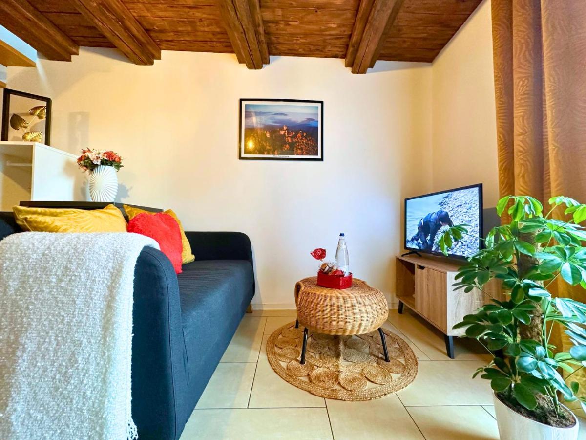 Le Petit Chataignier - Cozy Immo Chatenois  Luaran gambar