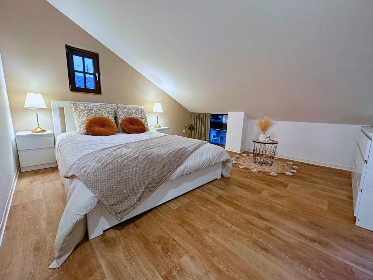 Le Petit Chataignier - Cozy Immo Chatenois  Luaran gambar