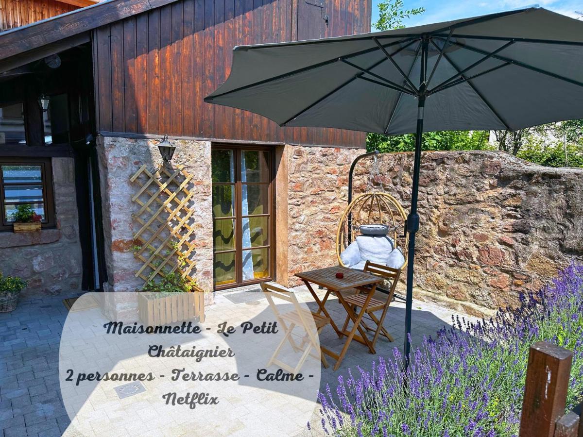 Le Petit Chataignier - Cozy Immo Chatenois  Luaran gambar