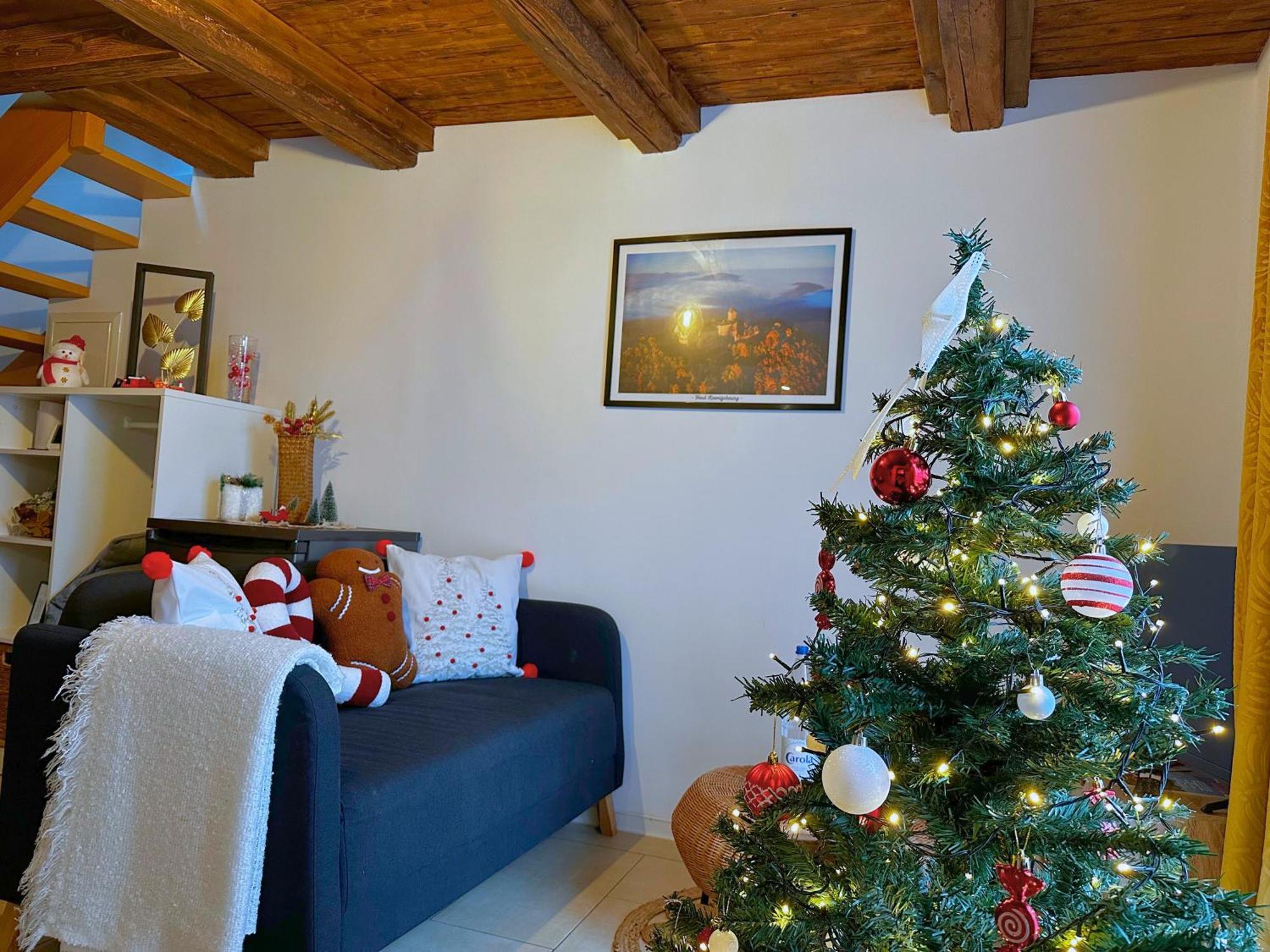 Le Petit Chataignier - Cozy Immo Chatenois  Luaran gambar