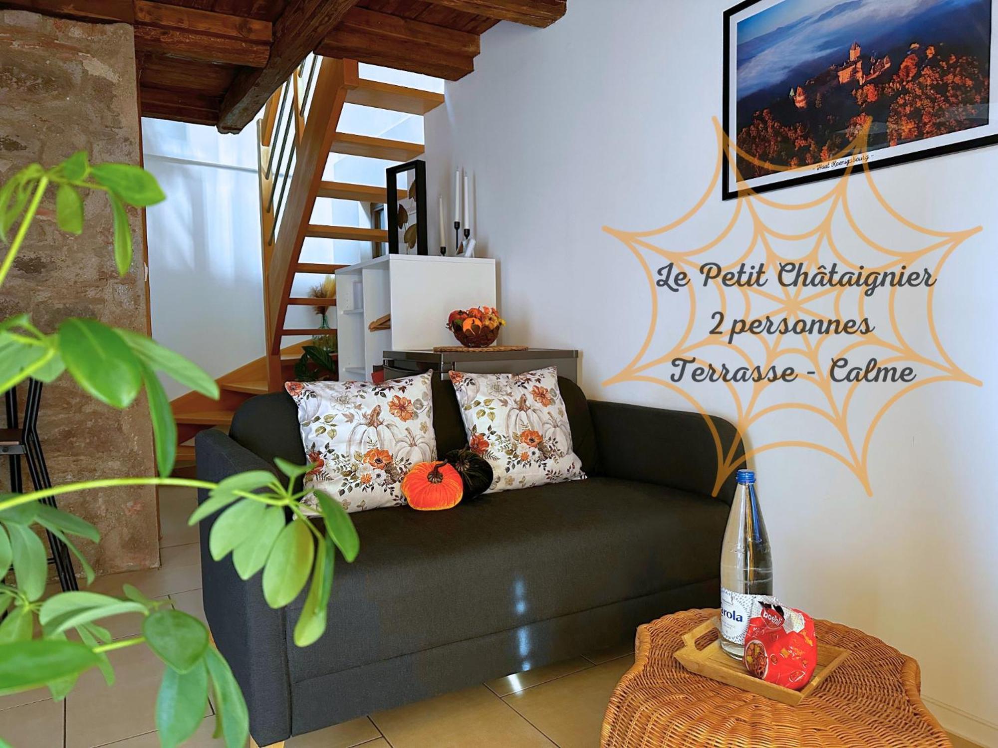 Le Petit Chataignier - Cozy Immo Chatenois  Luaran gambar